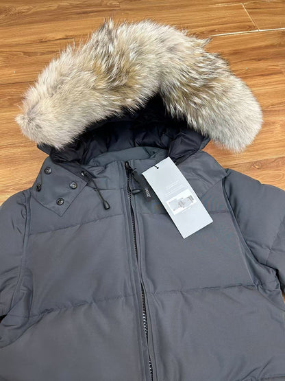 Winter Parka CG